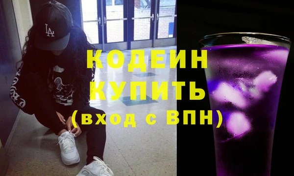 индика Козловка