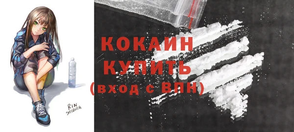 индика Козловка
