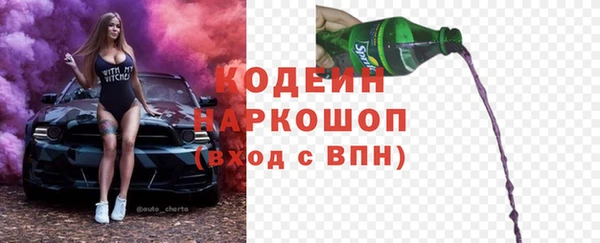 индика Козловка