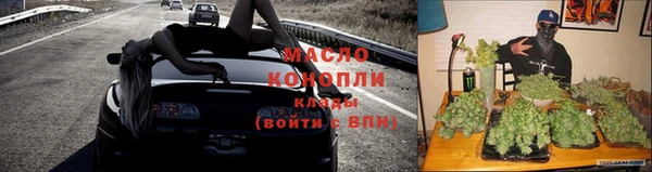 индика Козловка