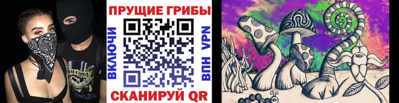 Галлюциногенные грибы Cubensis  Купить где  Вологда