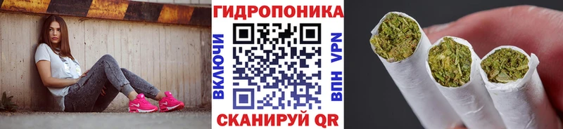 Бошки Шишки гибрид  Купить  Вологда 
